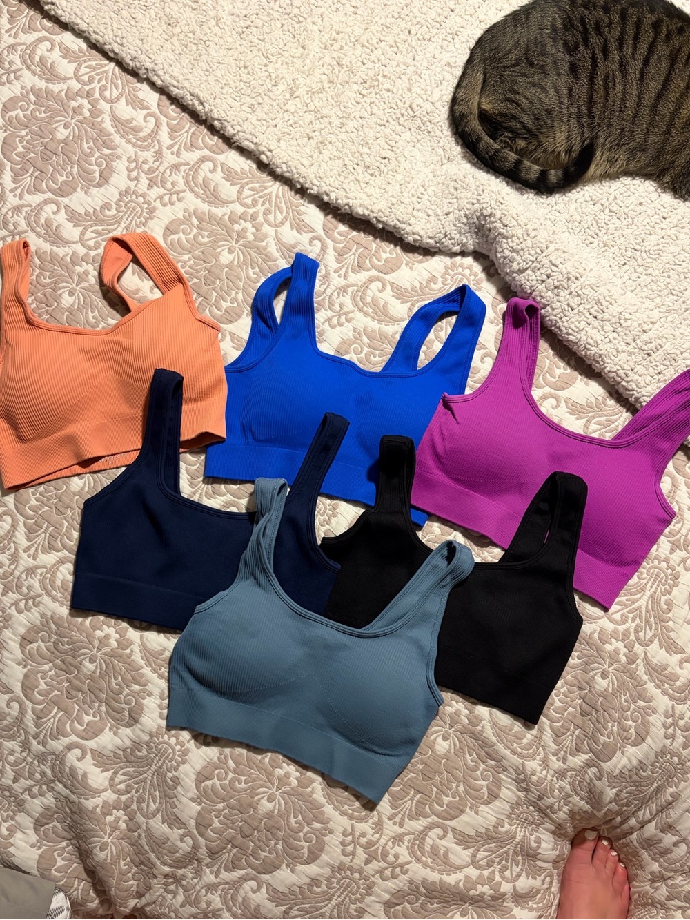 Seamless Ribbed Scoop Neck Sports Bra - Blue, Black, Purple & More